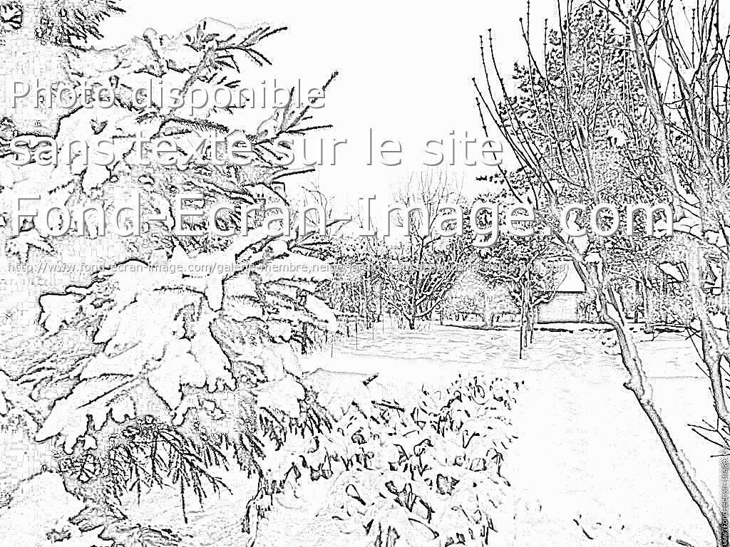 18 Coloriage Imprimer Jardin Japonais