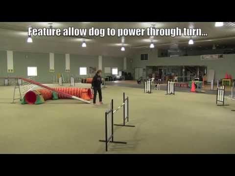 Tight Turns In Dog Agility Video One Agility Training For Dogs