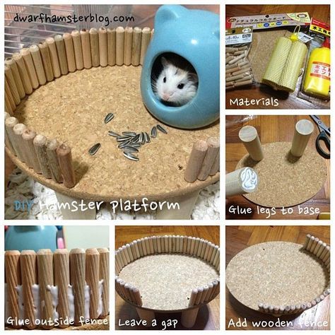 diy gerbil cage diy mouse cage diy hamster cage diy rat cage