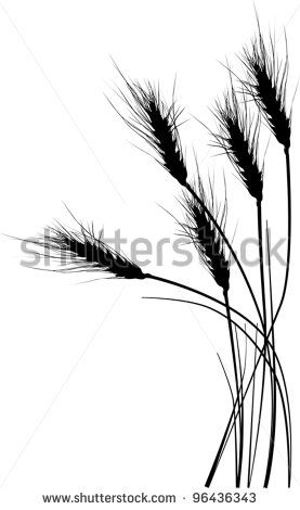 wheat line drawings google search wheat forearm tattoo