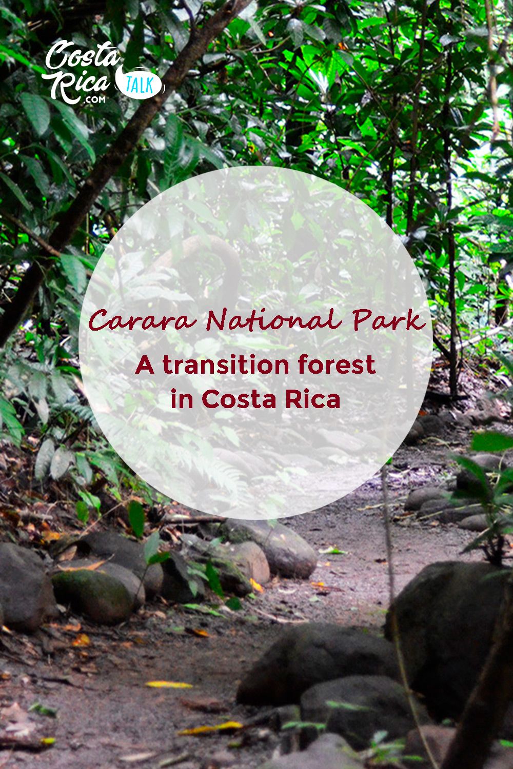Carara National Park National Parks Living In Costa Rica Costa Rica Travel