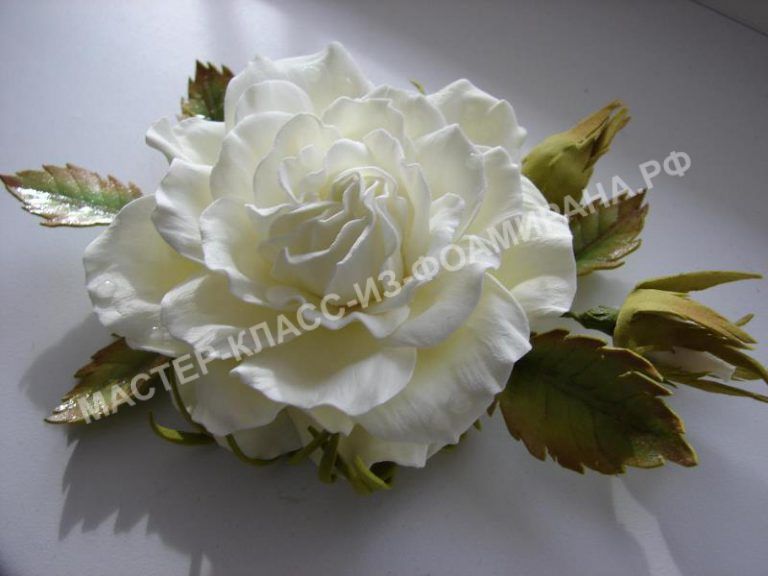Fondant Flowers, Diy Flowers, Brose, Flower Drawing, Poppies, Drawings, Plants, Tejido, Paper