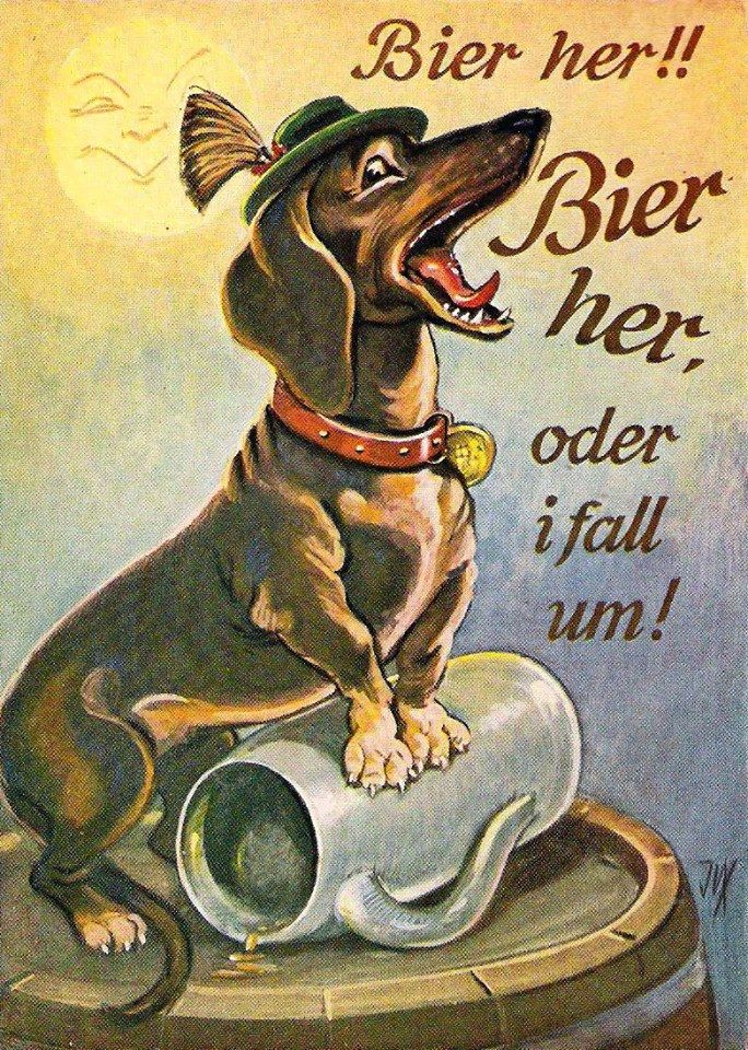 Vintage German Dachshund Postcard Vintage Dachshund Dachshund
