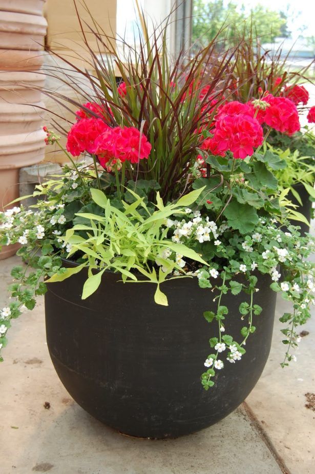 Garden Ideas Outdoor Potted Plant Design Outside - Patio Potted Plants Ideas Garden Ideas Outdoor Potted Plant Design Outside - Patio Potted Plants Ideas