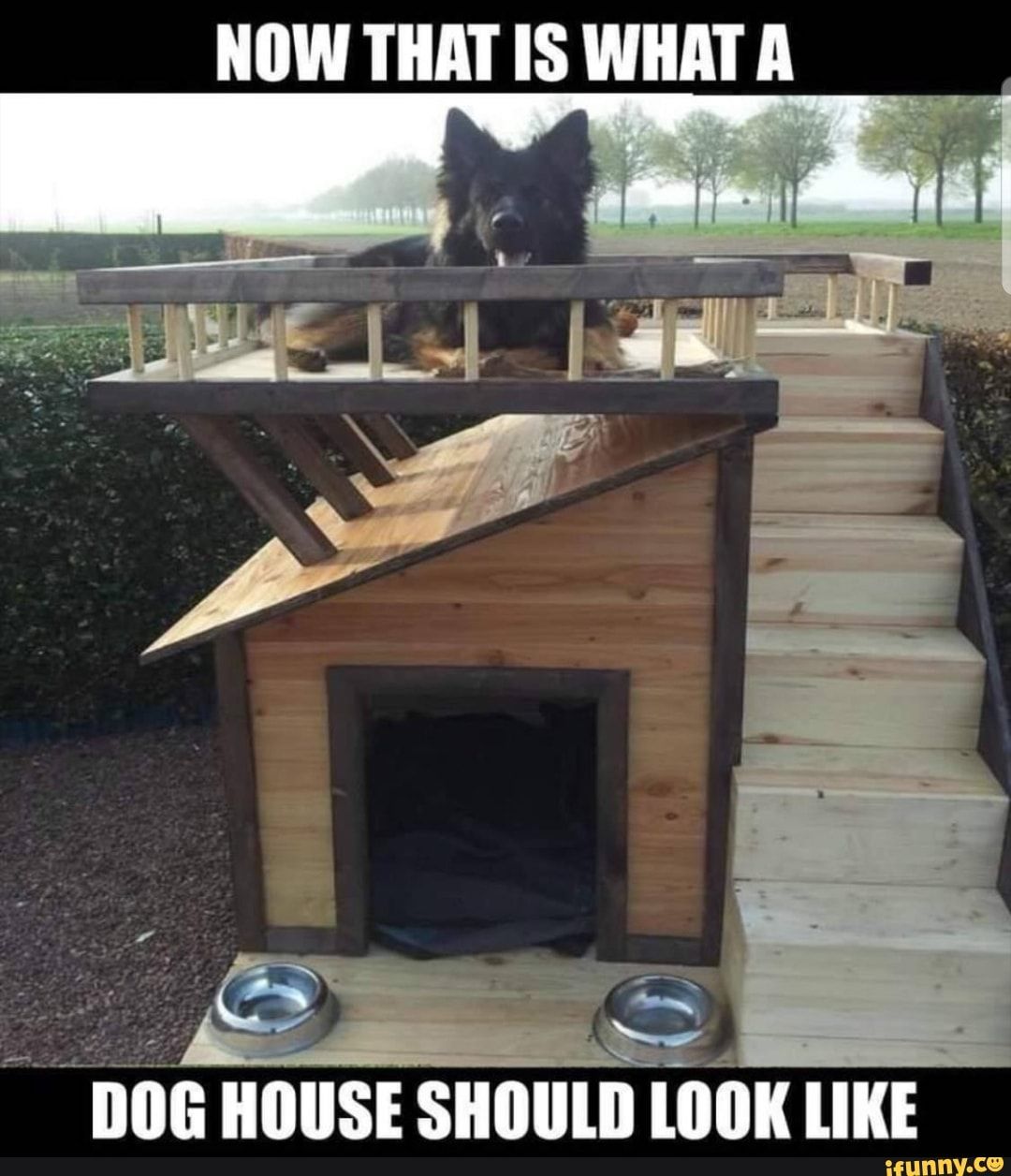 Now That Is What A Dog House Should Look Like Ifunny Dogs
