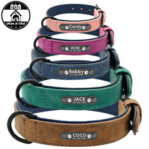 Epingle Sur Collier Laisse Et Harnais Pour Chien Epingle Sur Collier Laisse Et Harnais Pour Chien