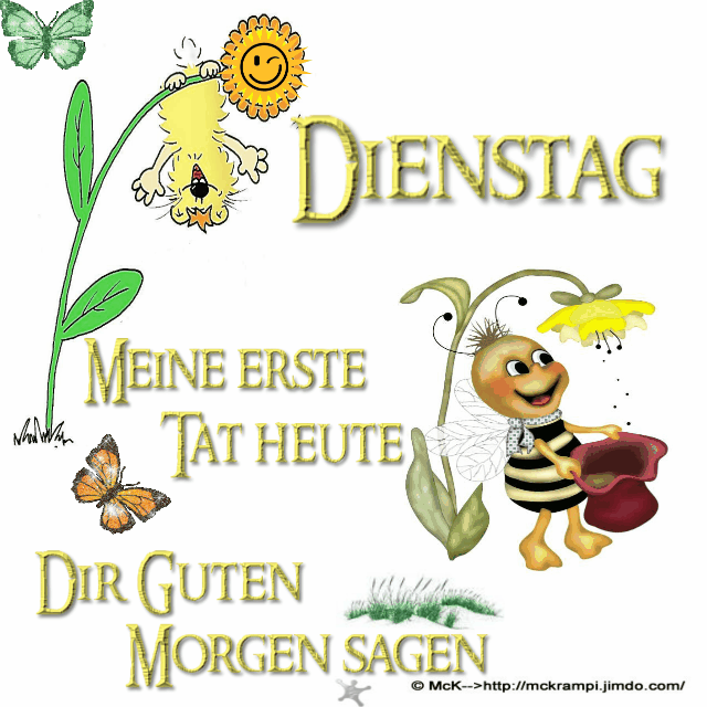 Bilder guten morgen dienstag