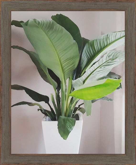 Download Light Picture Frame with White Mat - 8x10, 9x12, 11x14, 14x16, 16x20 - Standard & Custom Sizes ...