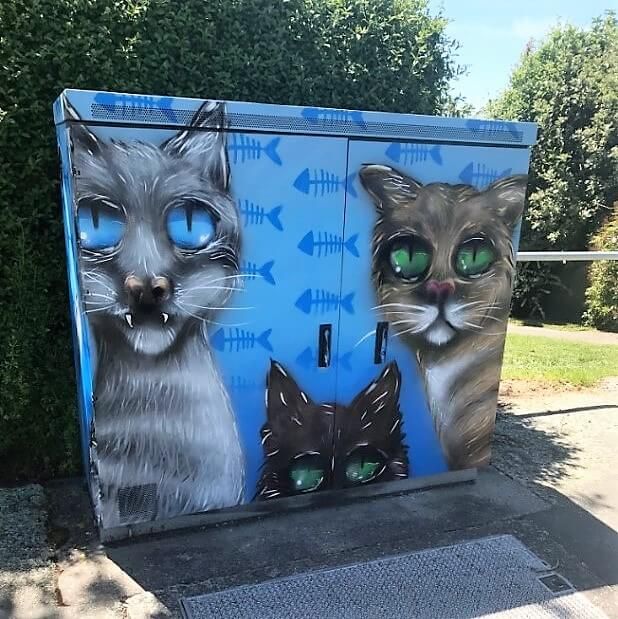 The Softer Side of Infrastructure Management for the Community – Waugh Infrastructure Management – New Zealand Timaru, Infrastructure, New Zealand, Siding, Management, Community, Soft, Fictional Characters, Fantasy Characters