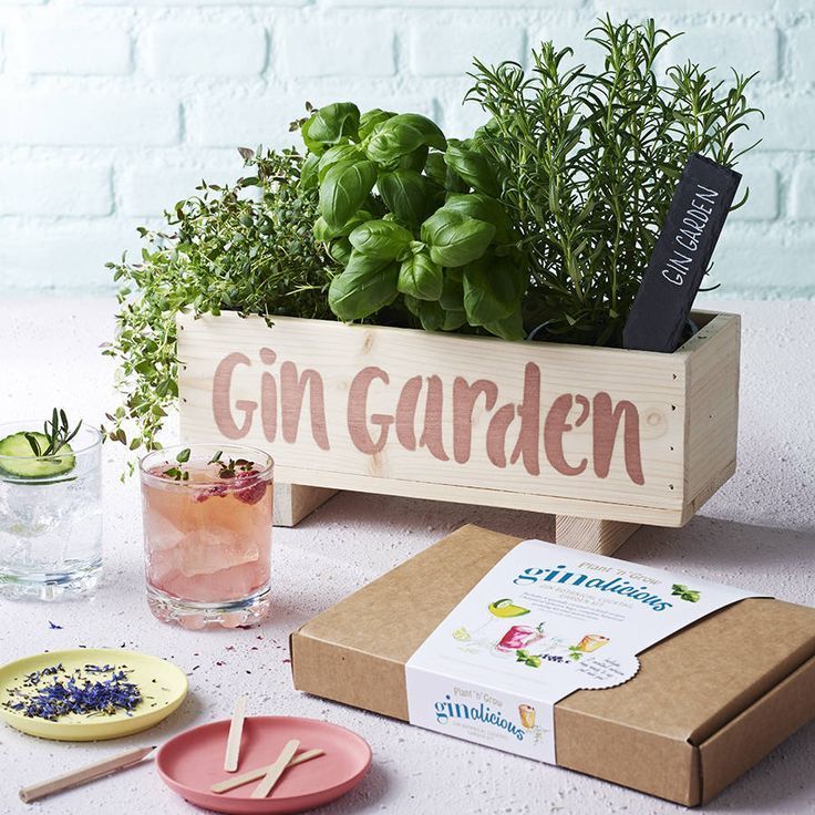 Dieser Grow Your Own Gin Cocktail Garden ist ein großartiges Geschenk. #geschenke #chef #food... #gincocktailrecipes