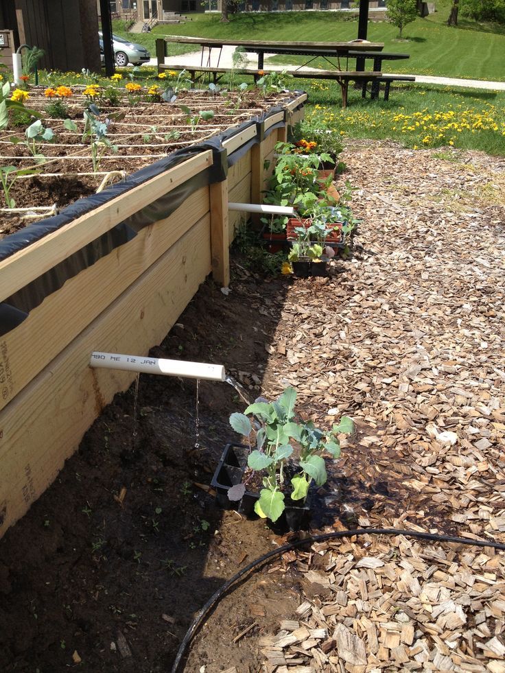 Raised Garden Bed Inside Setup Hochbeet Aufbau Drinnen Raised Garden Beds Raised Garden Garden Beds