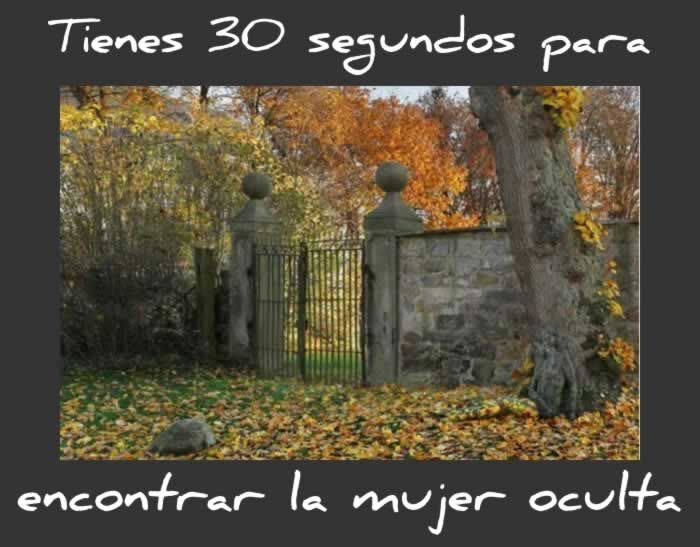 La mujer escondida | Ejercicios para la mente, Juegos ...