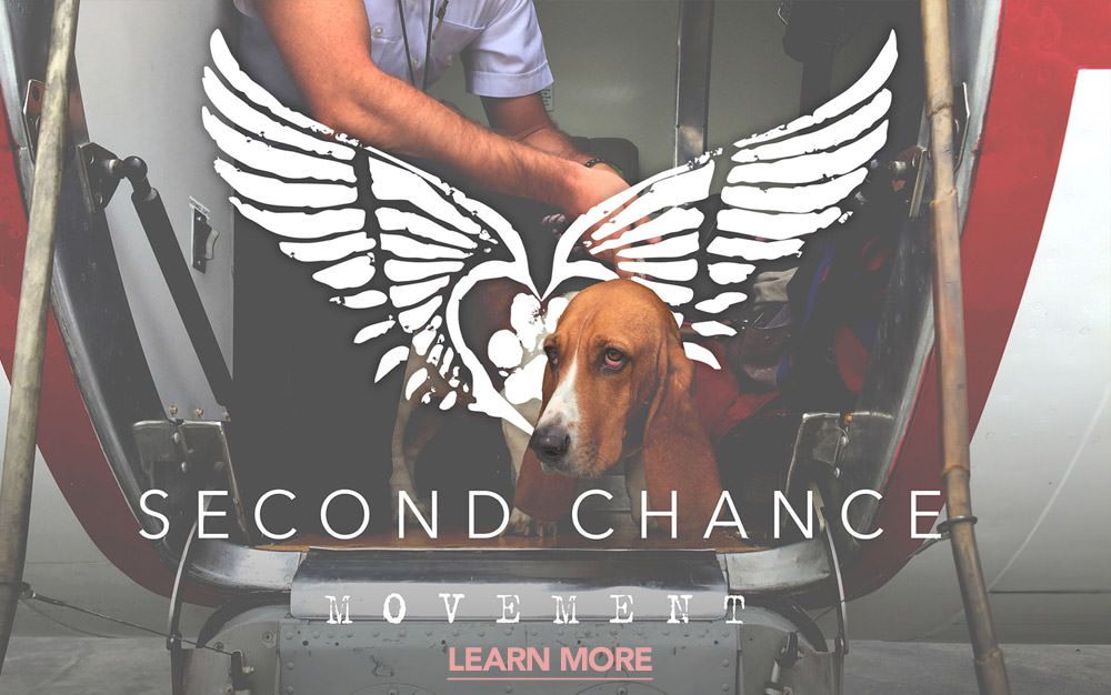 Shop Second Chance Movement Every Second Chance Movement