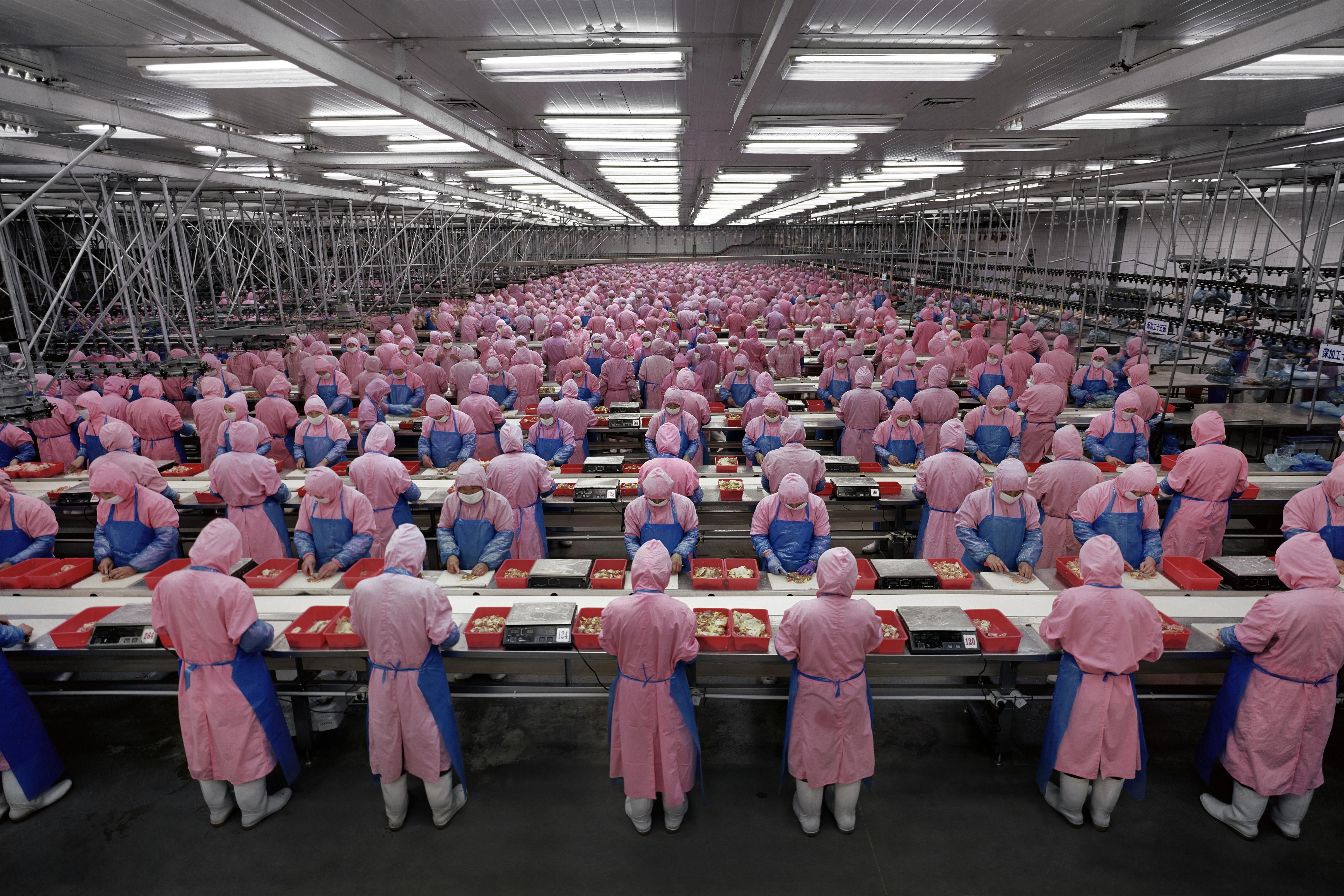 Wiki reportage photography