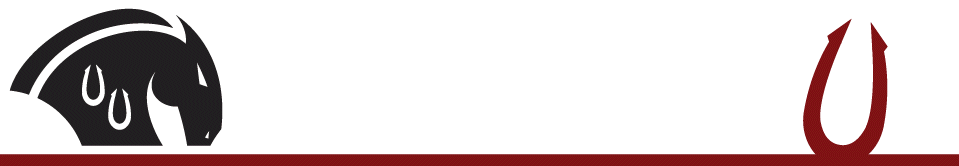 Thesis custom functions error