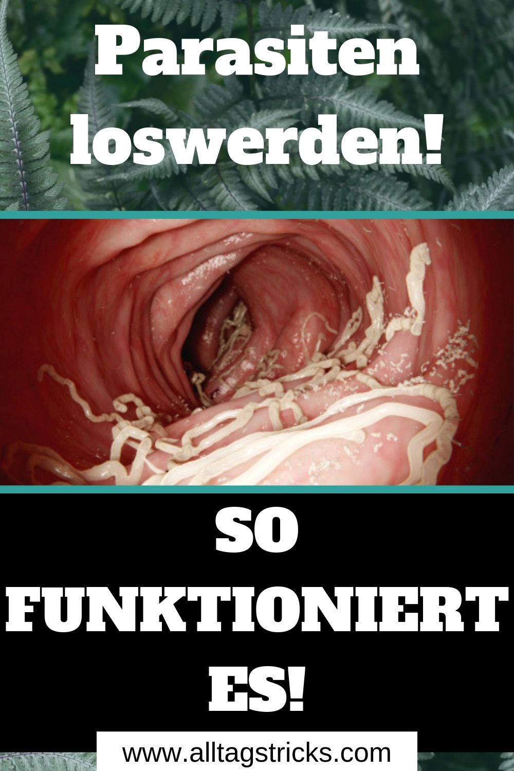 Entwurmungsdiät