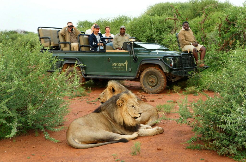 Safari Jeep Kenia