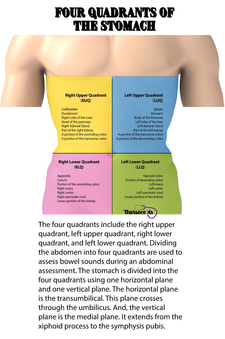 9 tips for performing a nursing health assessment on the gastrointestinal nurse