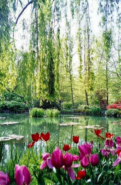 Giverny, France Jardines Pinterest Paisajes, Jardines y Lugares - paisajes jardines Giverny, France Jardines Pinterest Paisajes, Jardines y Lugares - paisajes jardines