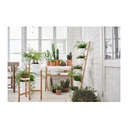Satsumas Plant Stand With 5 Plant Pots Bamboo White Back To The