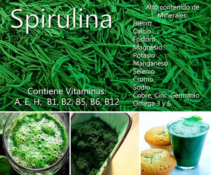 Algas Verdiazul Spirulina Propiedades Y Beneficios Espirulina Propiedades Espirulina Espirulina Beneficios