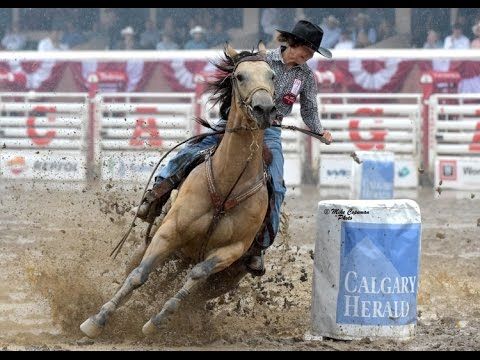 calgary stampede
