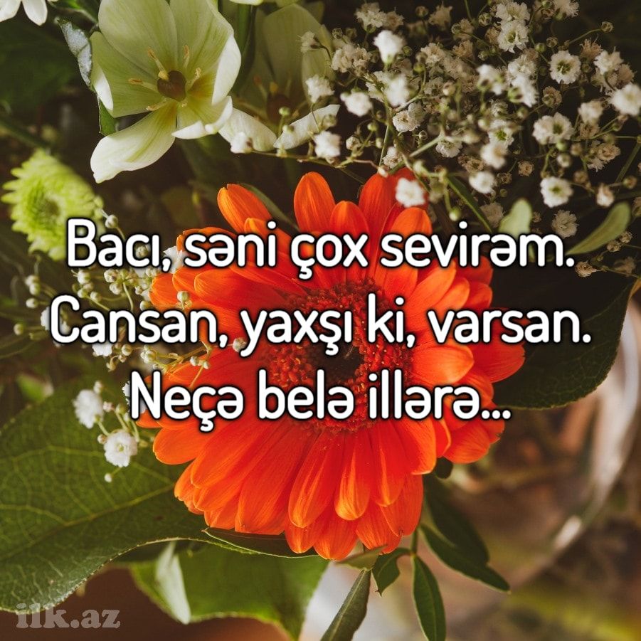 Pin On Baciya Aid Ad Gunu Təbrikləri