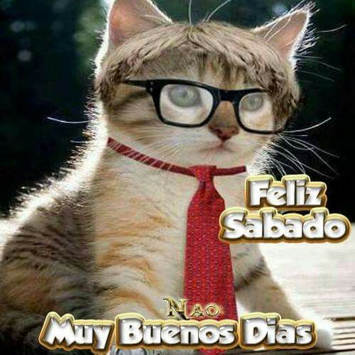 Feliz Sabado Con Imagenes Feliz Sabado Gracioso Feliz
