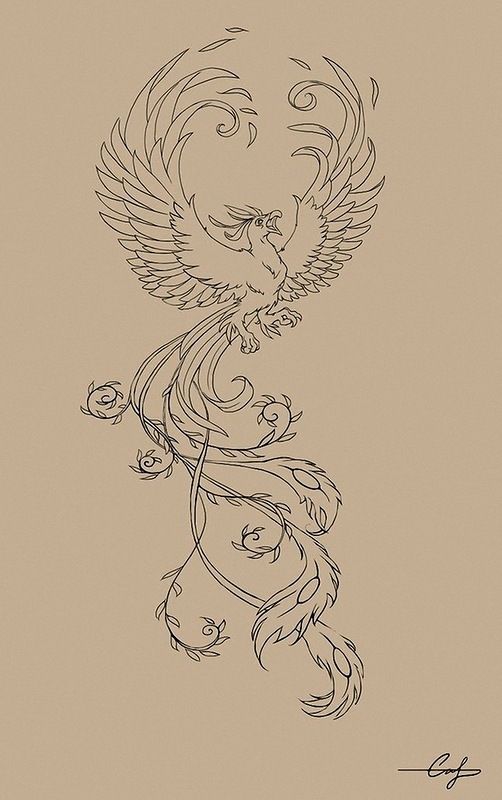 Жар птица , Жар птица, My Tattoo Blog 2020, My Tattoo Blog 2020