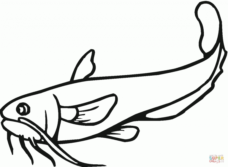Free Coloring Pages With Best Printable Walking Catfish Coloring Pages