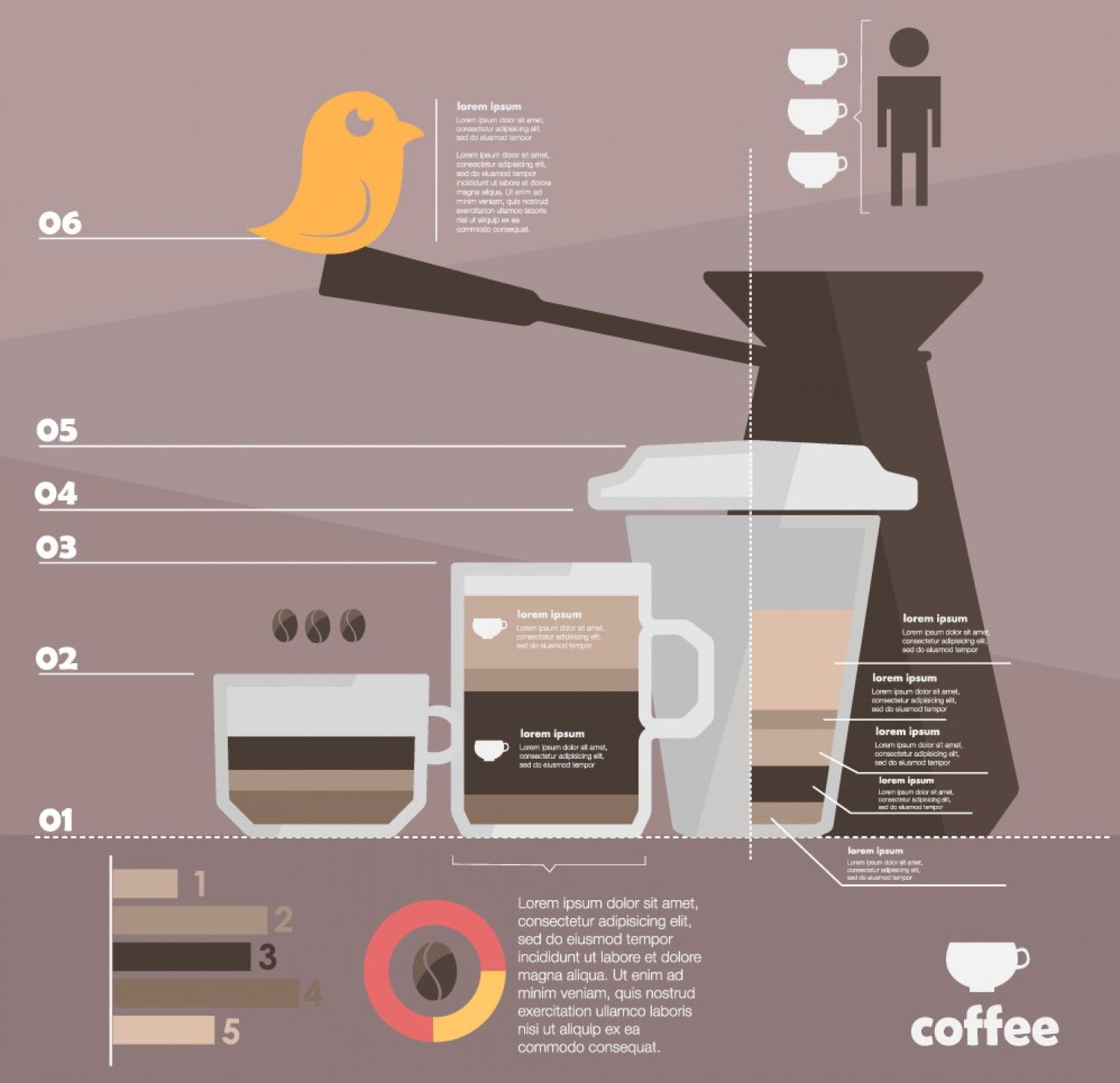 simple coffee infographic simple coffee infographic