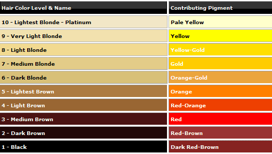 hair color is classified in two areas level the lightness or level chart 1 10