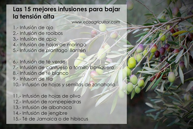 Infusiones Para Bajar La Tensión Ecoagricultor Infusiones Tensión Alta Para Bajar La Presion