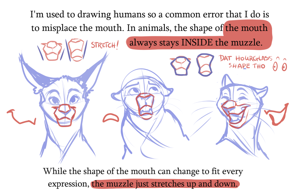 Cat Reference, Anatomy Reference, Drawing Reference Poses, Art Reference Photos, Drawing Tips, Warrior Cat Drawings, Warrior Cats Art, Cat Anatomy, Anatomy Art