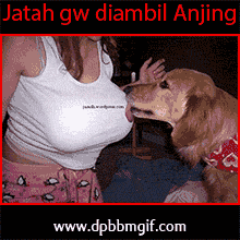 82 Gambar Lucu Video Terbaik 82 Gambar Lucu Video Terbaik