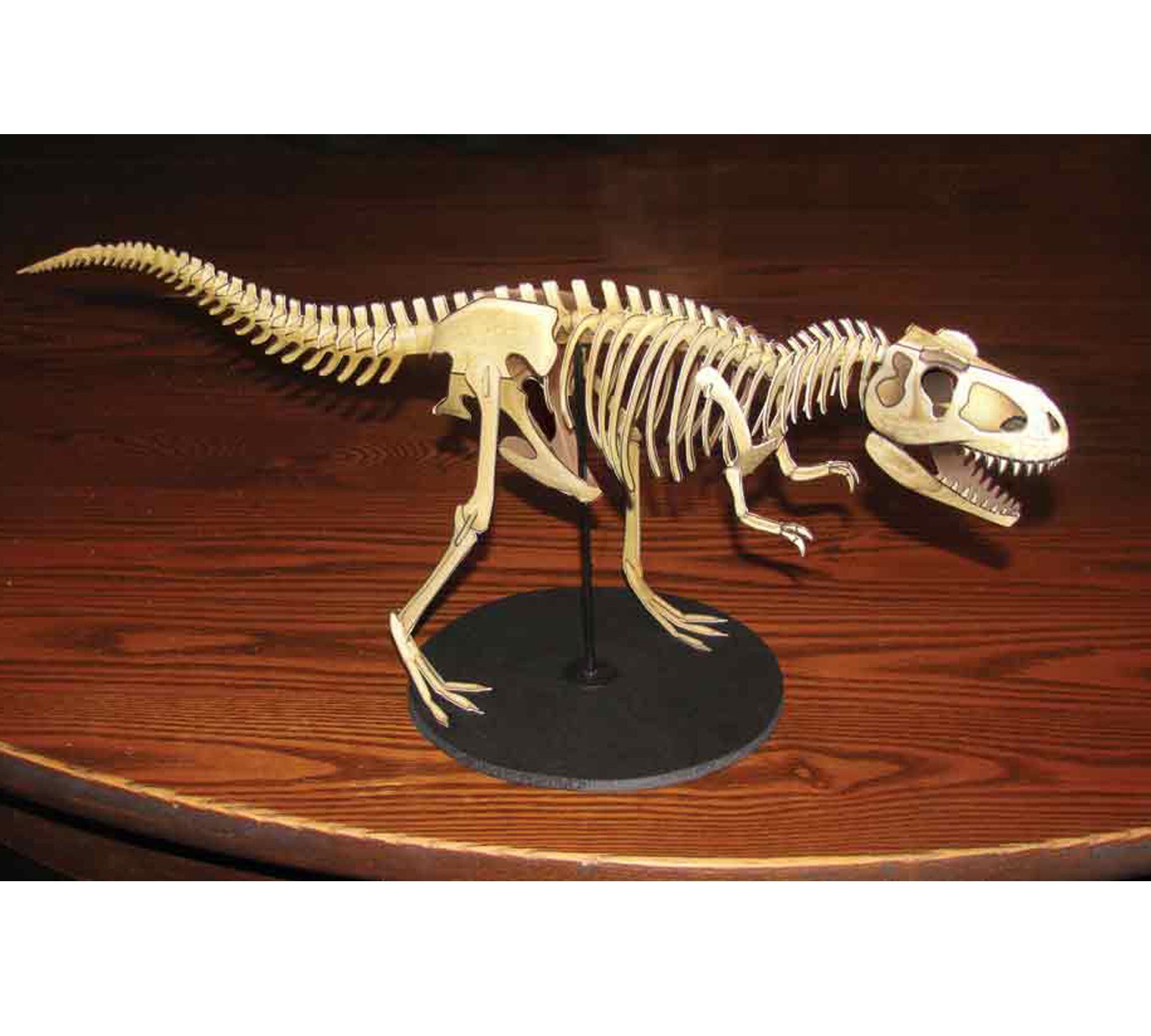 T-Rex, T-Rex skeleton, paper dinosaur model, papercraft dinosaur #historyofdinosaurs Excited to share the latest addition to my #etsy shop: T-Rex, T-Rex skeleton, paper dinosaur model, papercraft dinosaur #historyofdinosaurs T-Rex, T-Rex skeleton, paper dinosaur model, papercraft dinosaur #historyofdinosaurs Excited to share the latest addition to my #etsy shop: T-Rex, T-Rex skeleton, paper dinosaur model, papercraft dinosaur #historyofdinosaurs