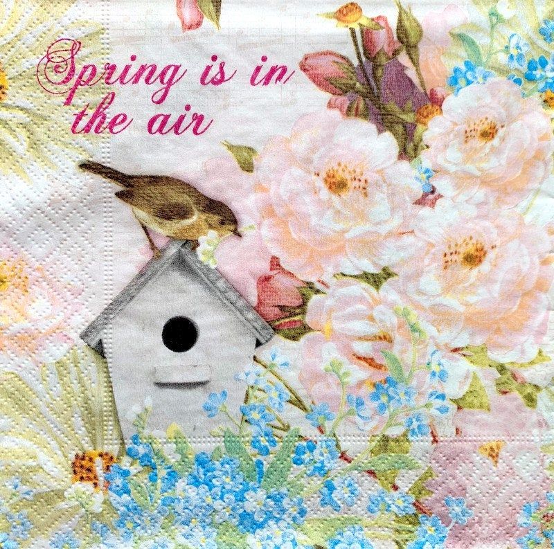 Decoupage Napkins 25 cm 2 Single Paper Napkins for Decoupage 9,5 inches Paper-Craft and Collage Decor #496