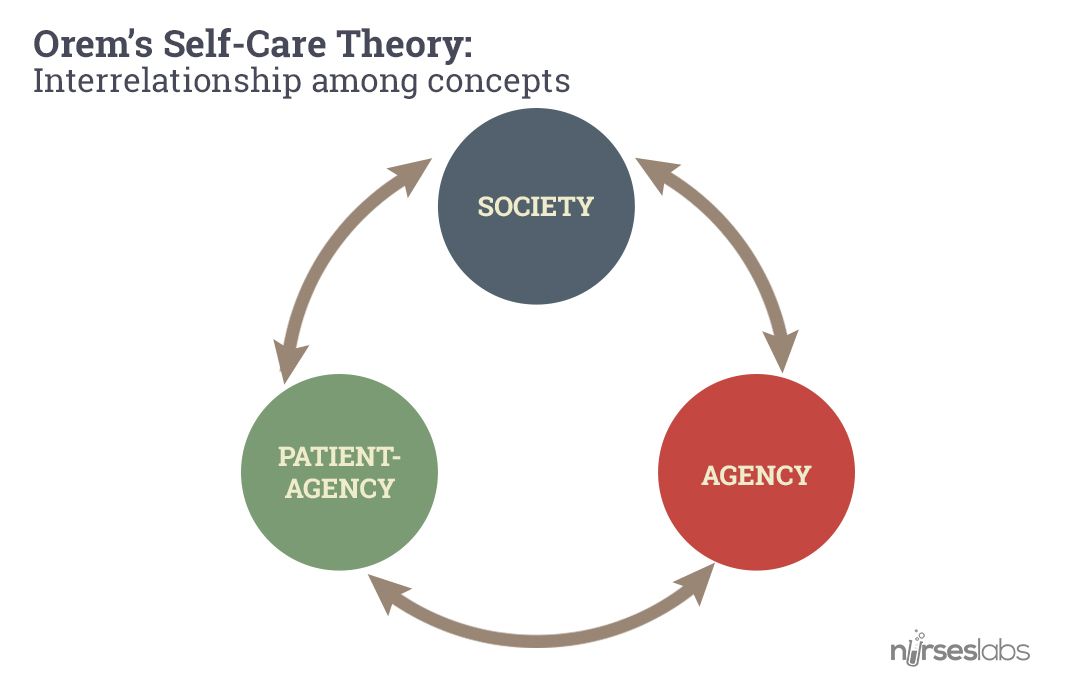 nursing theory