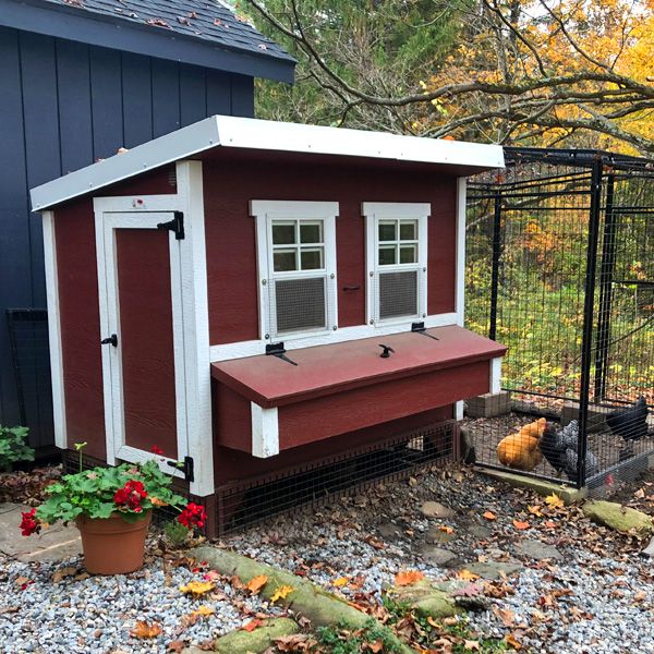 Our coops are not only good for chickens, but for their owners too! Thanks to our partnership with Bread, you now have the option to purchase a our coops and other chicken-related products with simple monthly payments! 🐔 💵 🙌 Start shopping at overezchickencoop.com! #overez #overezchickencoops #chickens #chickencoops #largechickencoop #amishcraftmanship #backyardchickens Best Chicken Coop, Chicken Coops, Monthly Payments, Raising Chickens, Chickens Backyard, Amish, Owners, Garage, Bread