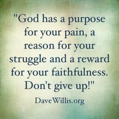 Dave Willis Quotes Dave Willis Quotes