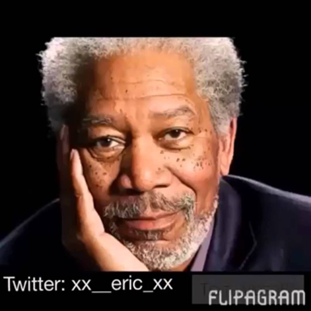 the entire flipagram roast funny pinterest youtube