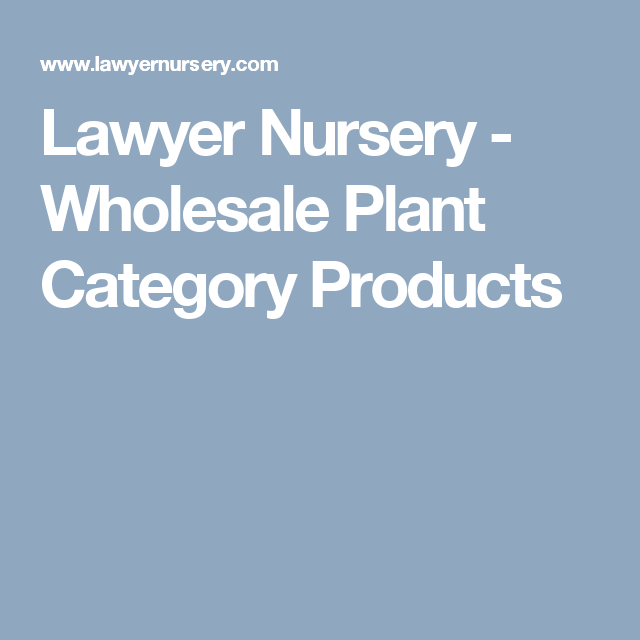Lawyer Nursery Whole Plant Category Products Best Plants Lawyer Nursery Whole Plant Category Products