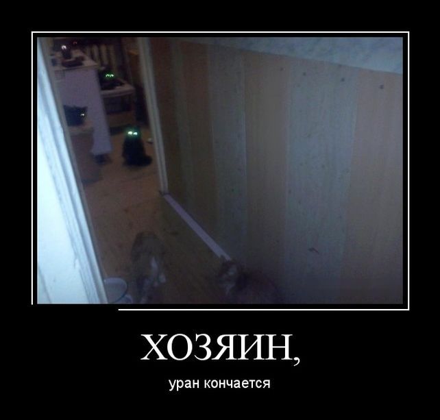 Russian Jokes, Amusing, Like4like, Humor, Memes, Bad, Animals, Animales, Animaux