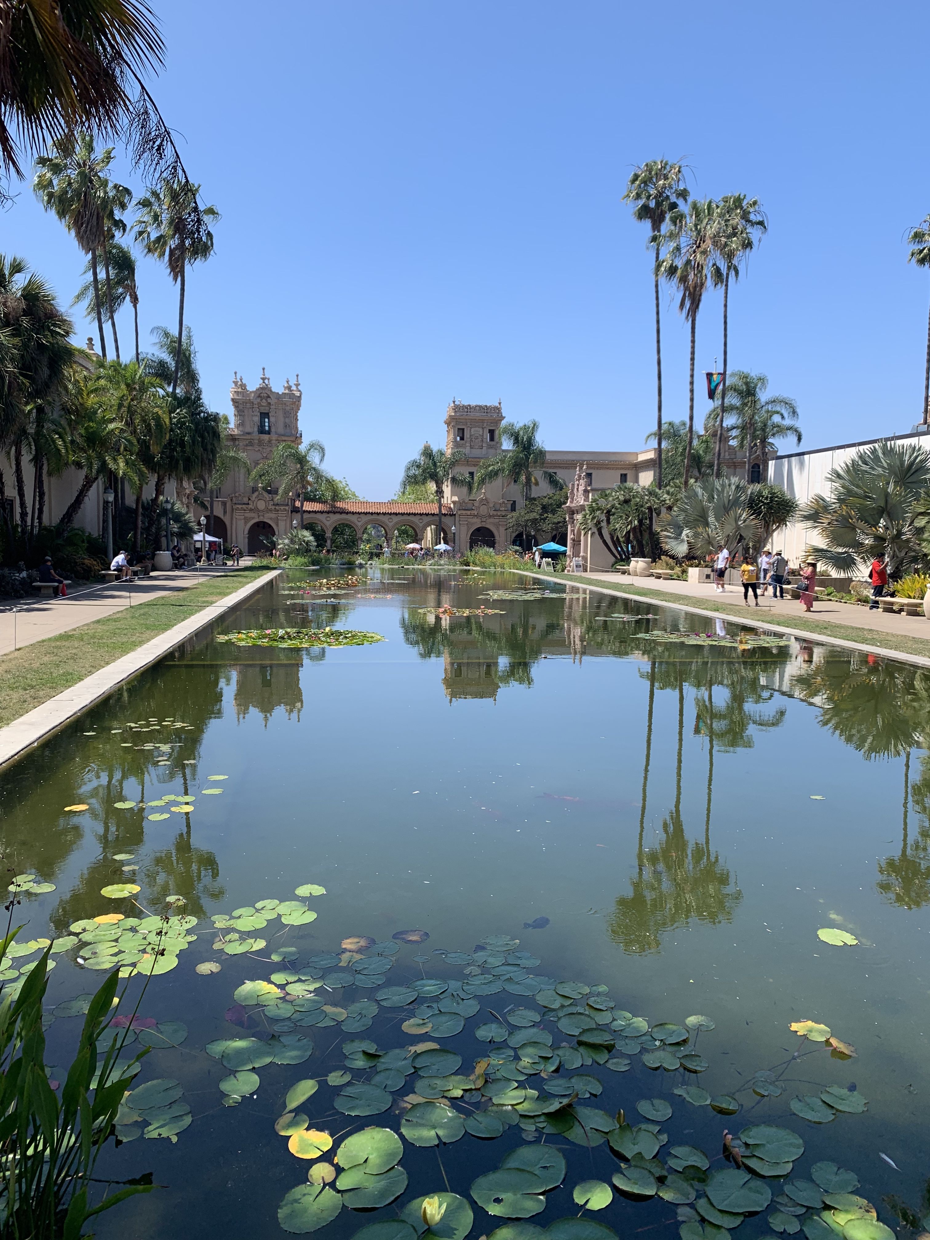 balboa park koi pond balboa park downtown san diego balboa