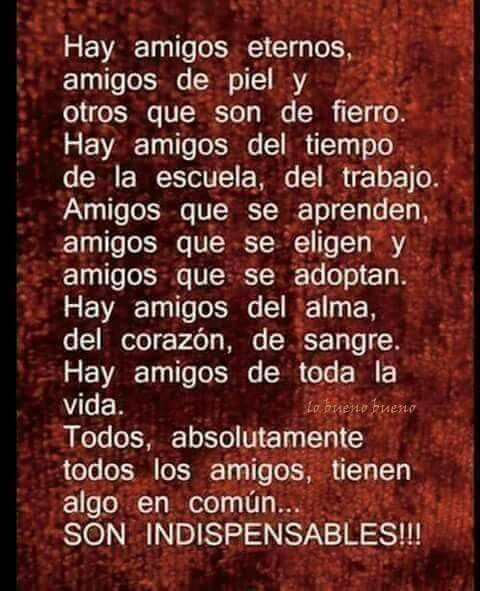 Pin De Marcela Rodriguez En Pensamientos Poemas Versos Frases De Amistad Verdadera Citas De Amistad Verdadera Mensaje De Amistad