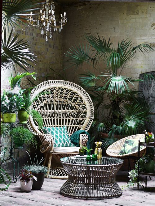 peacock stuhl | Hol Dir den Aloha Spirit nach Hause. Unsere 10 Tipps. | Waldfrieden ... #favoriteplaces