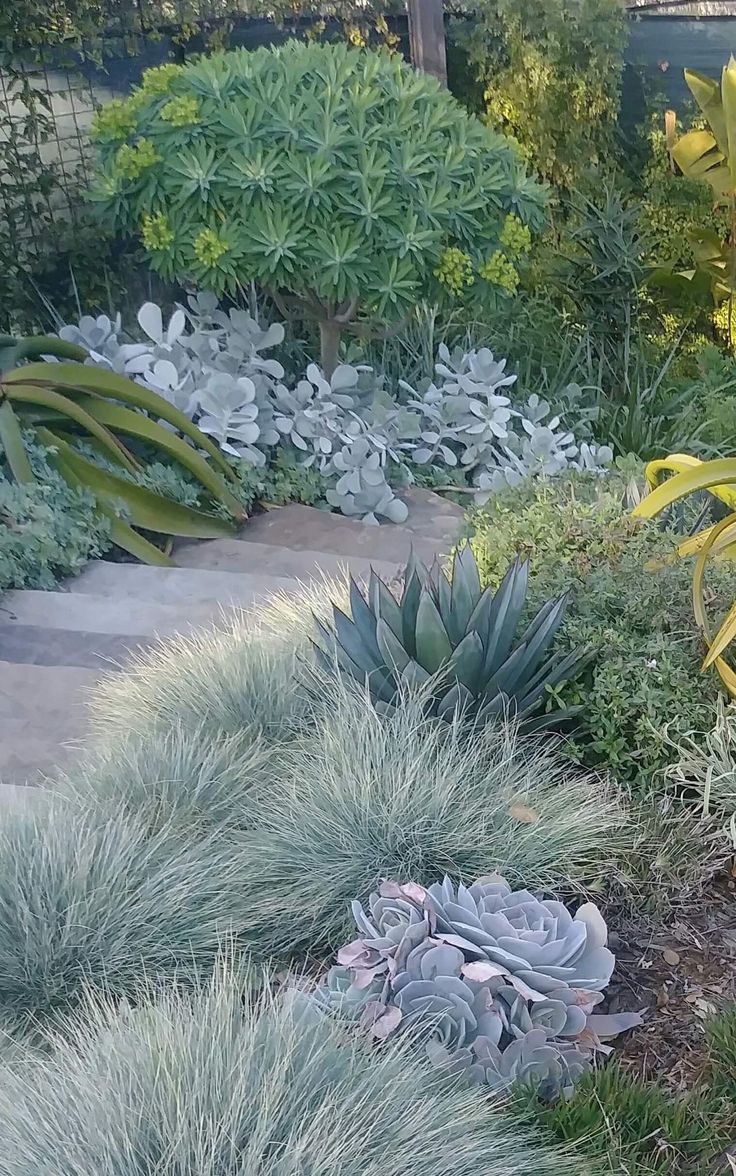 6 idées de bricolage impressionnant: idées de jardin de conteneur moderne
