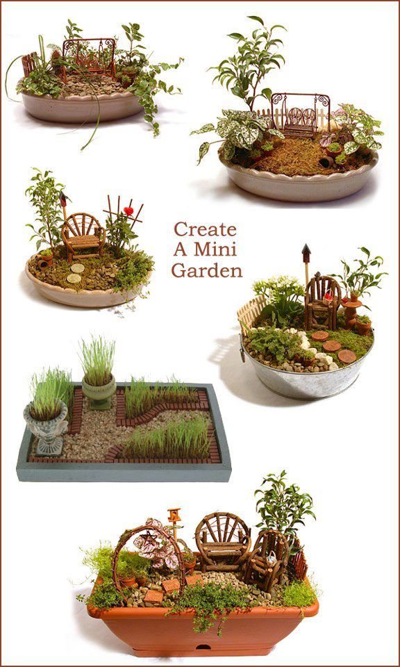 créér un jardin miniature