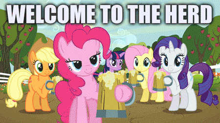 14 things we've learned from mlp: fim Applejack, Fluttershy, Mlp Memes, Little Poney, My Little Pony Friendship, Twilight Sparkle, Rainbow Dash, Herding, Animated Gif