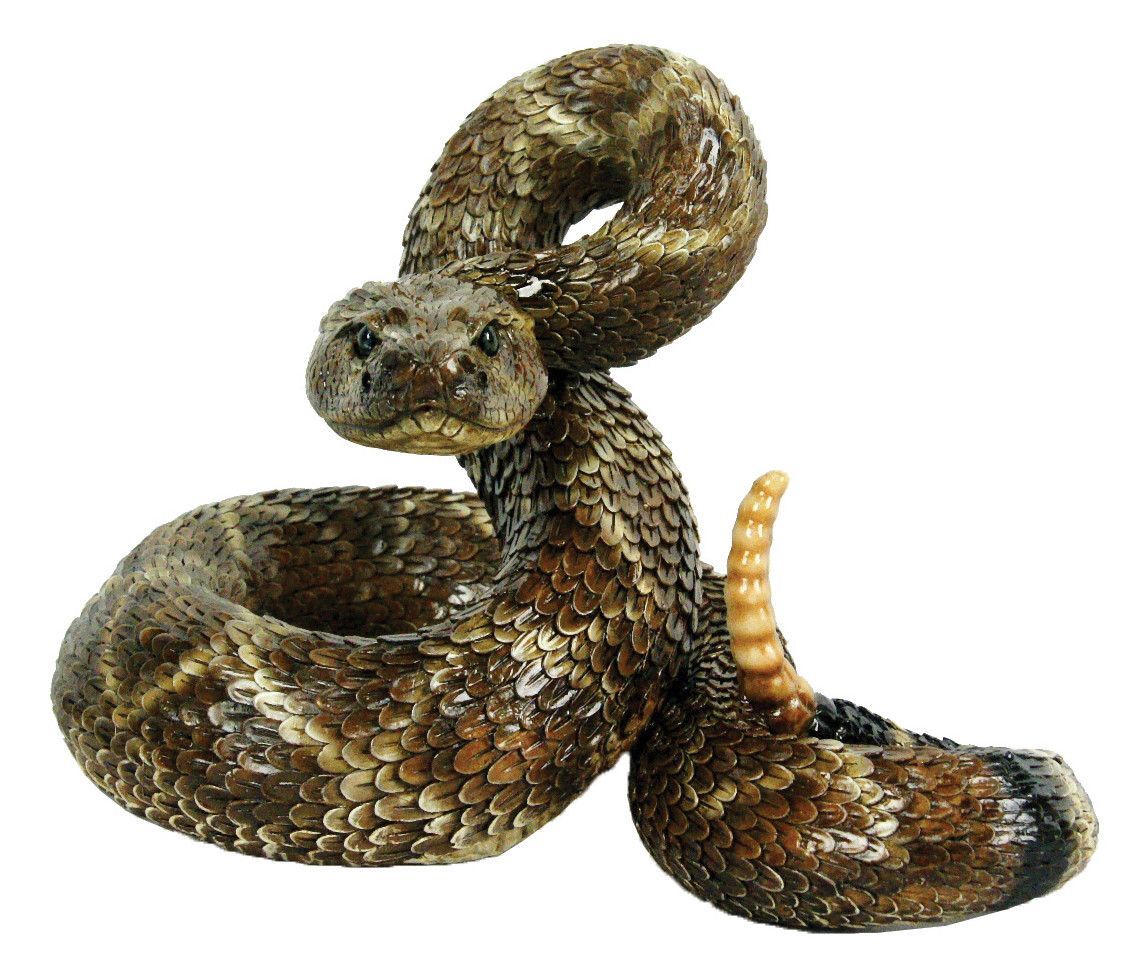 Michael Carr Western Diamond Back Coiled Snake Statue Outdoor Statues Snake Garden Statues Michael Carr Western Diamond Back Coiled Snake Statue Outdoor Statues Snake Garden Statues